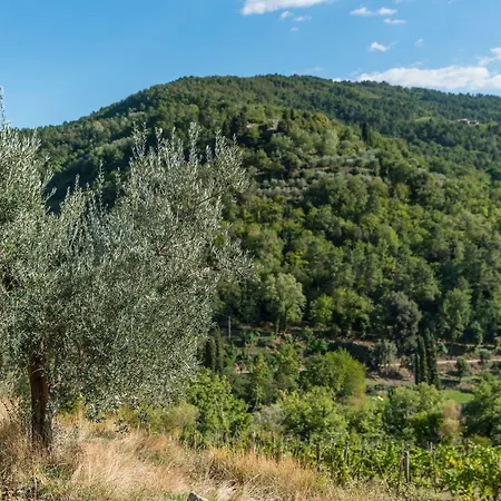 Casolese Alloggio per agriturismo