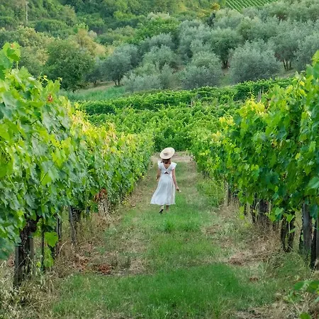 Alloggio per agriturismo Casolese *